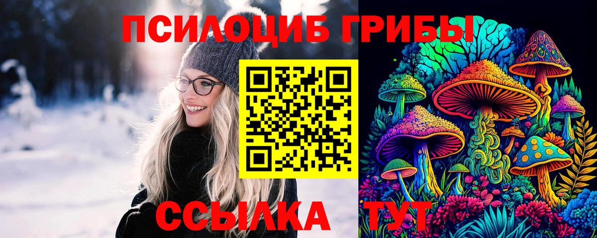 Галлюциногенные грибы Psilocybine cubensis Красноуфимск