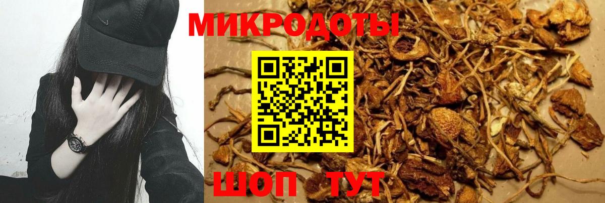 Красноуфимск  Псилоцибиновые грибы ЛСД  Псилоцибиновые грибы Psilocybe  Вход с VPN 